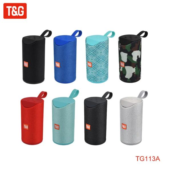 T&G TG-113A SPEAKER 8.jpg_2